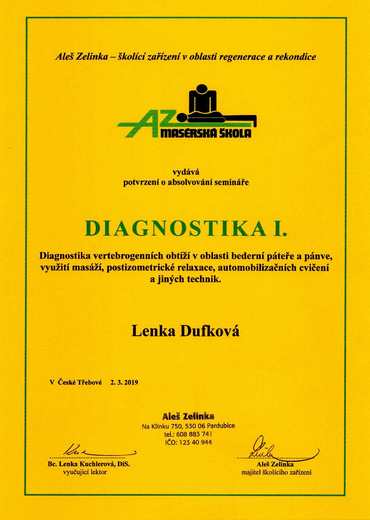 Diagnostika I. Zelinka